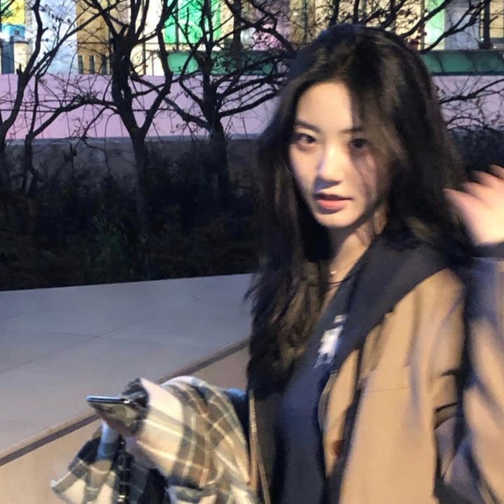 夜幕女王